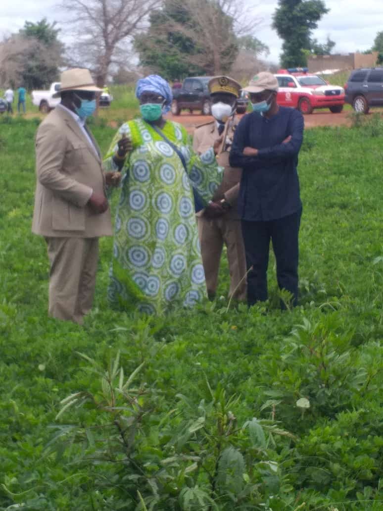 221785775620 status d6c5a27b26ee4adcbed10149de7e6b5d