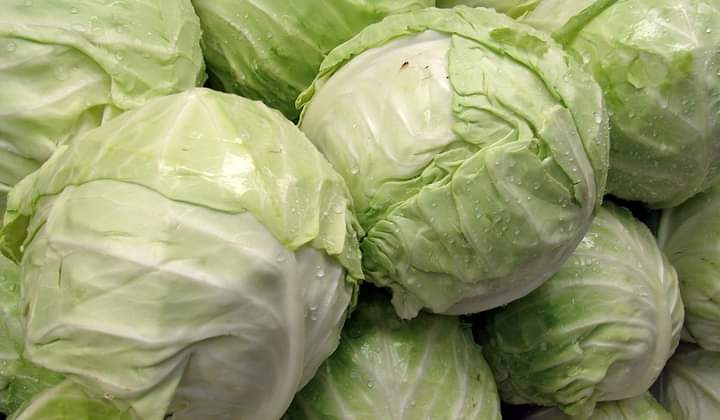 FB IMG 1599397429216