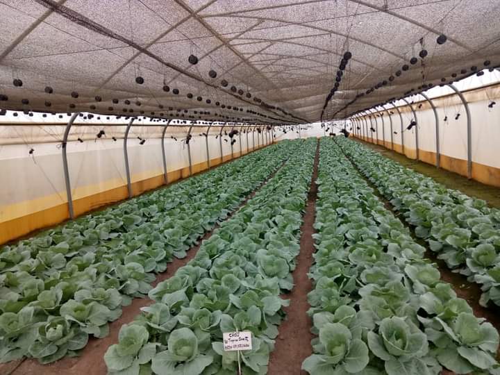 FB IMG 1599397440135