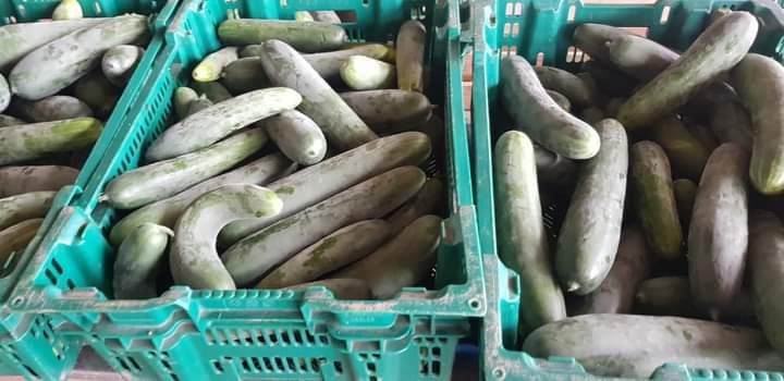 FB IMG 1599397457751