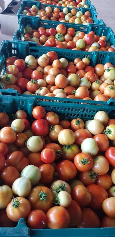 FB IMG 1599397462677