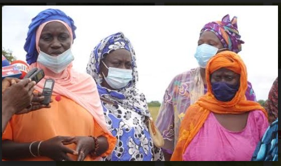 Kédougou : Une grande quantité de riz risque d’être perdue dans leurs rizières 2 kédougou