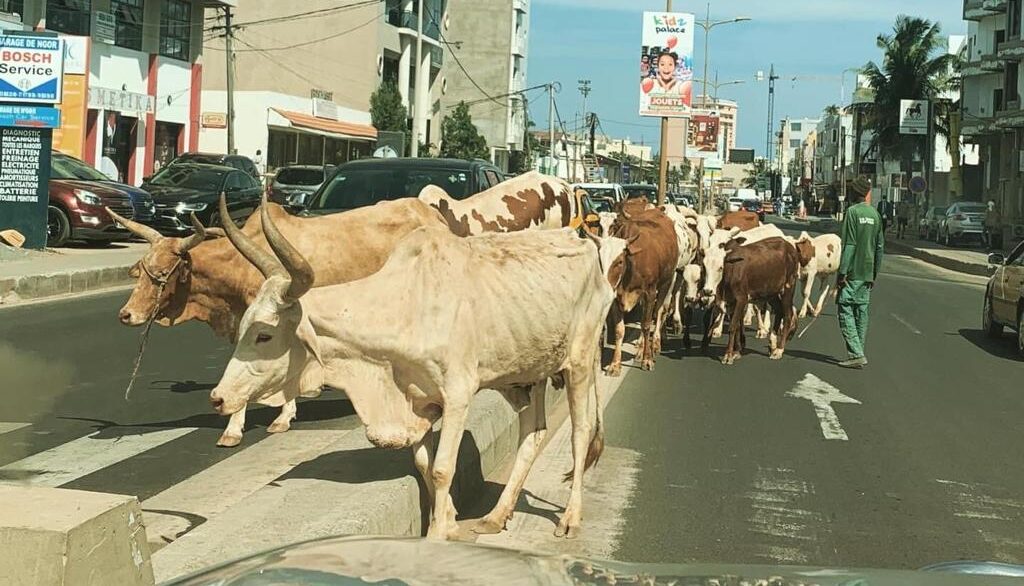 IMG 20201213 WA0057 e1607879353670