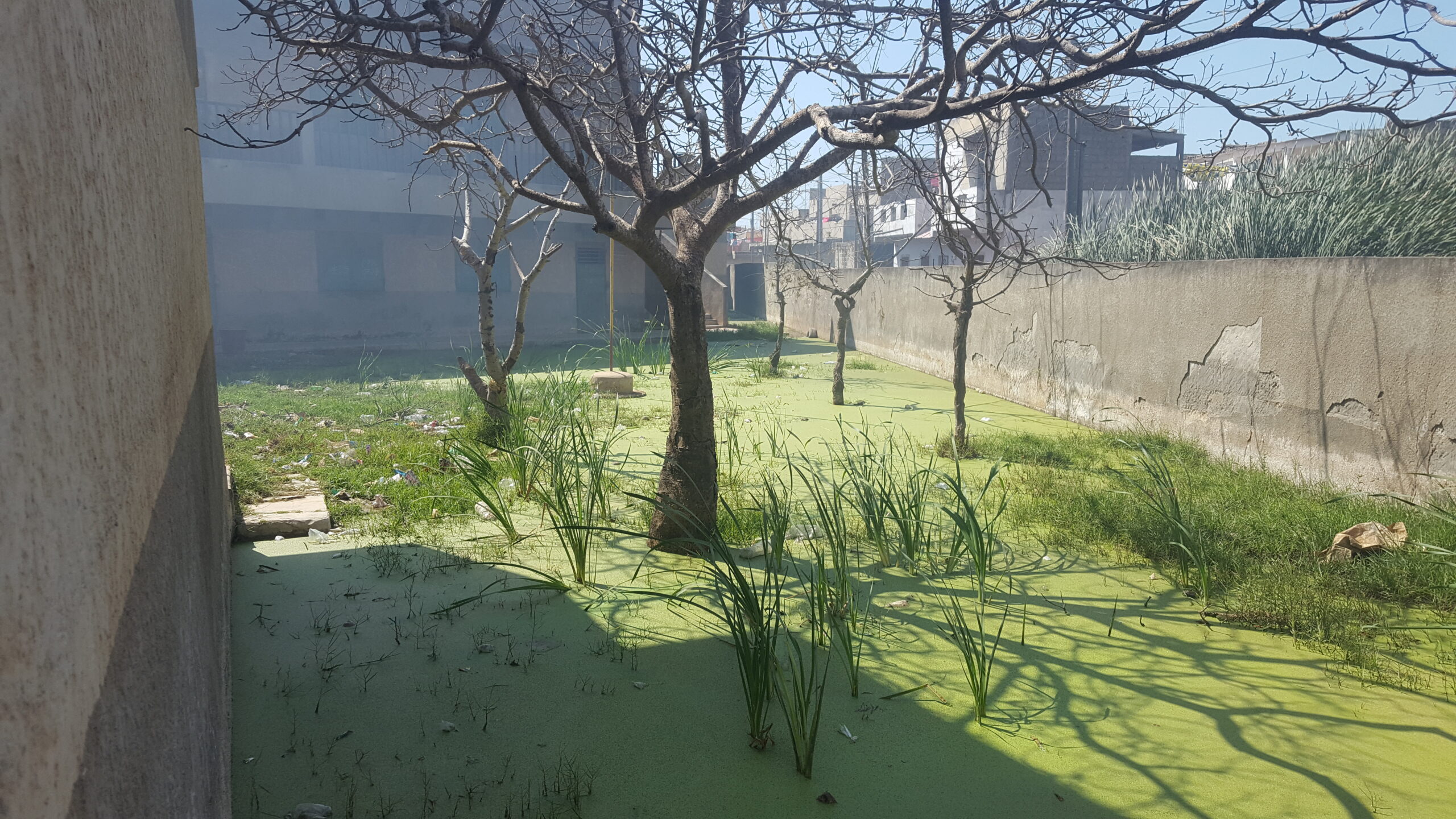 20210103 122508 scaled