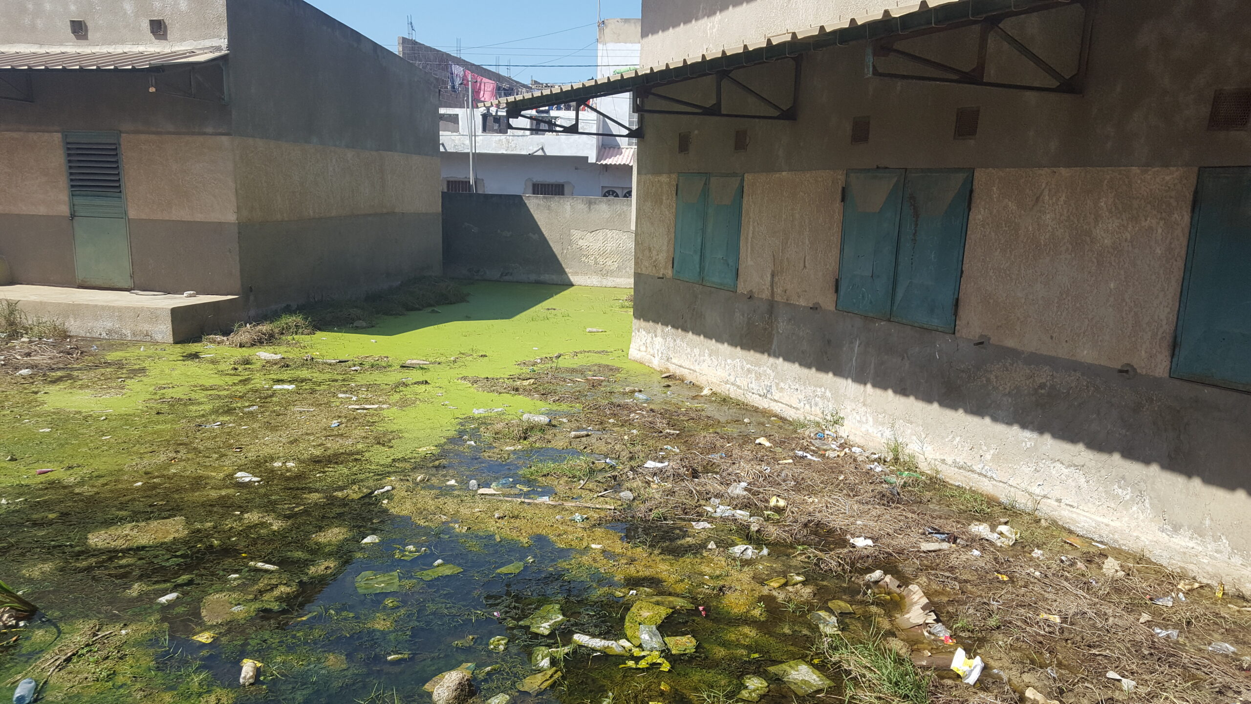 20210103 123150 scaled