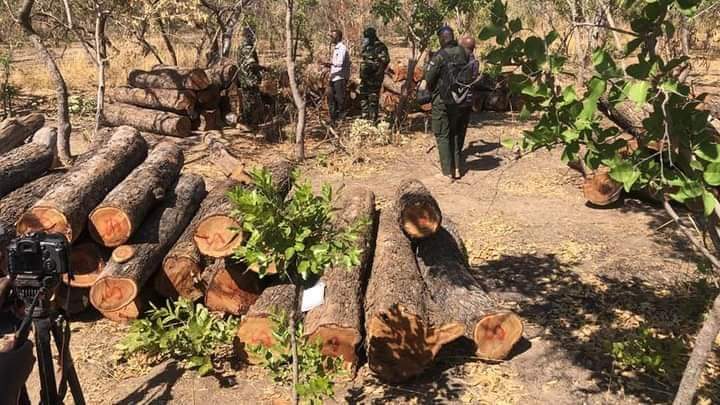 FB IMG 1612092792528