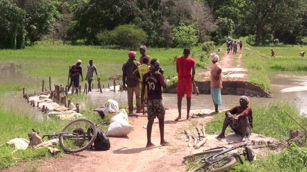 Bignona : Le village de Mangoulé oublié par le PSE de Macky 15 Bignona : Le village de Mangoulé oublié par le PSE de Macky