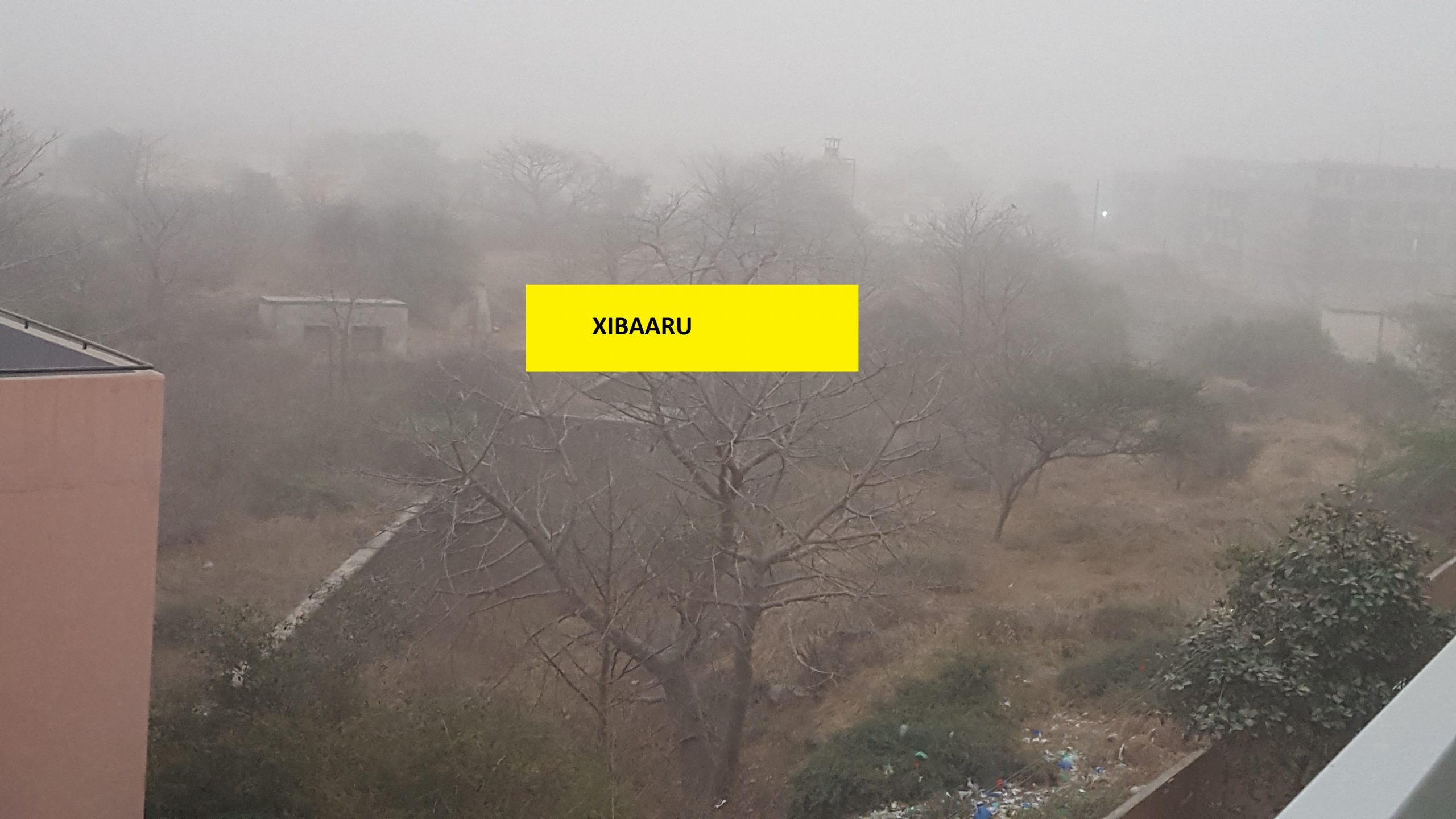 20210217 074307 scaled