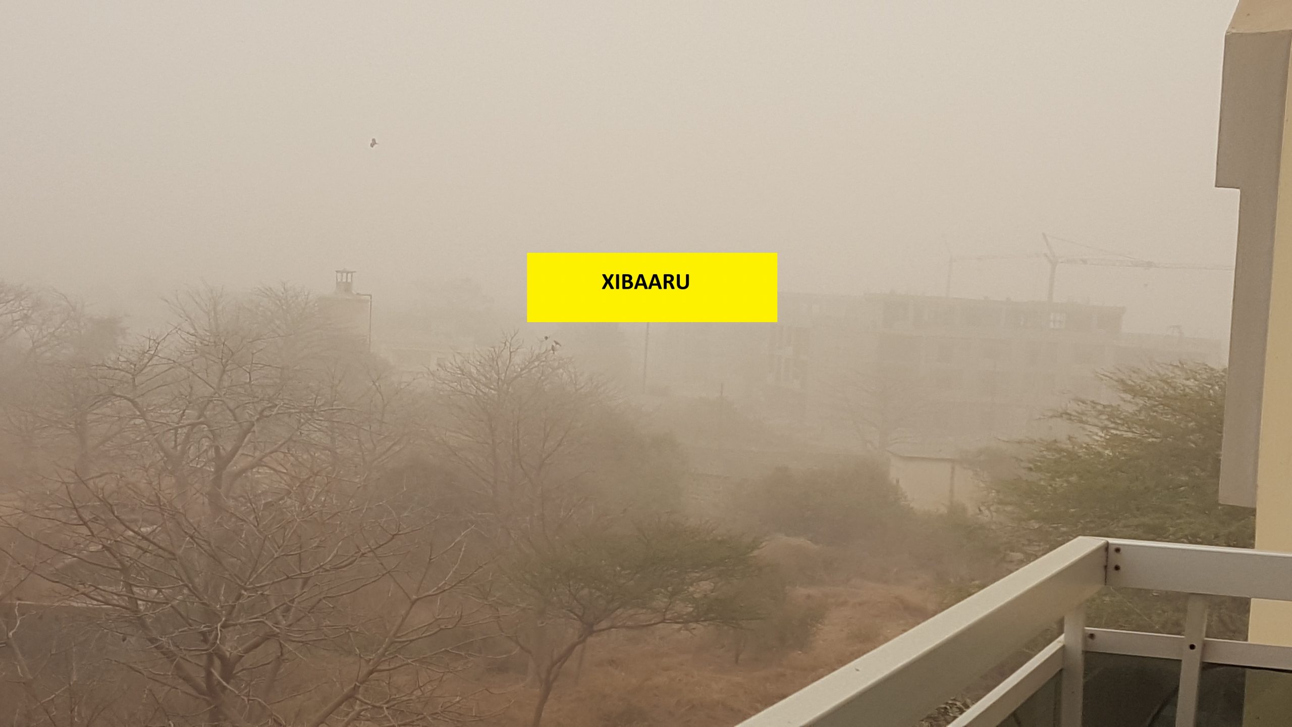 20210217 084801 scaled