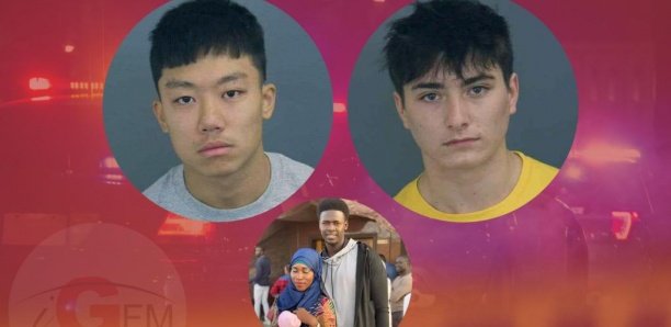 Famille Diol Assassin