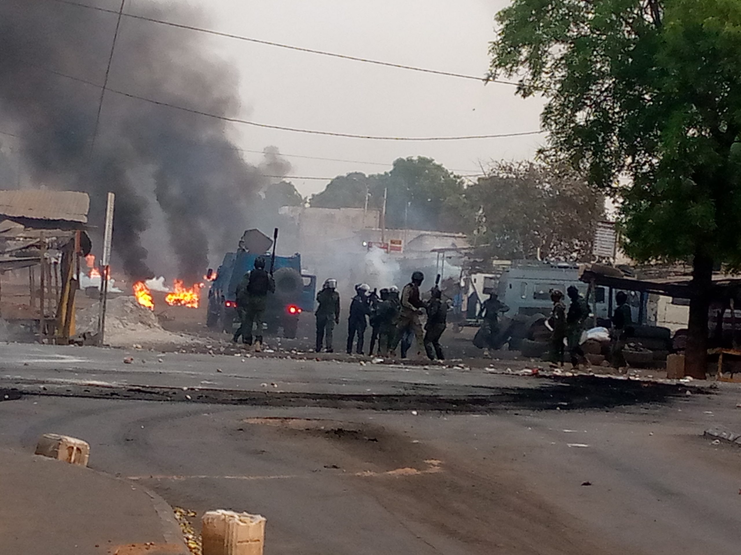 IMG 20210303 184953 547 scaled