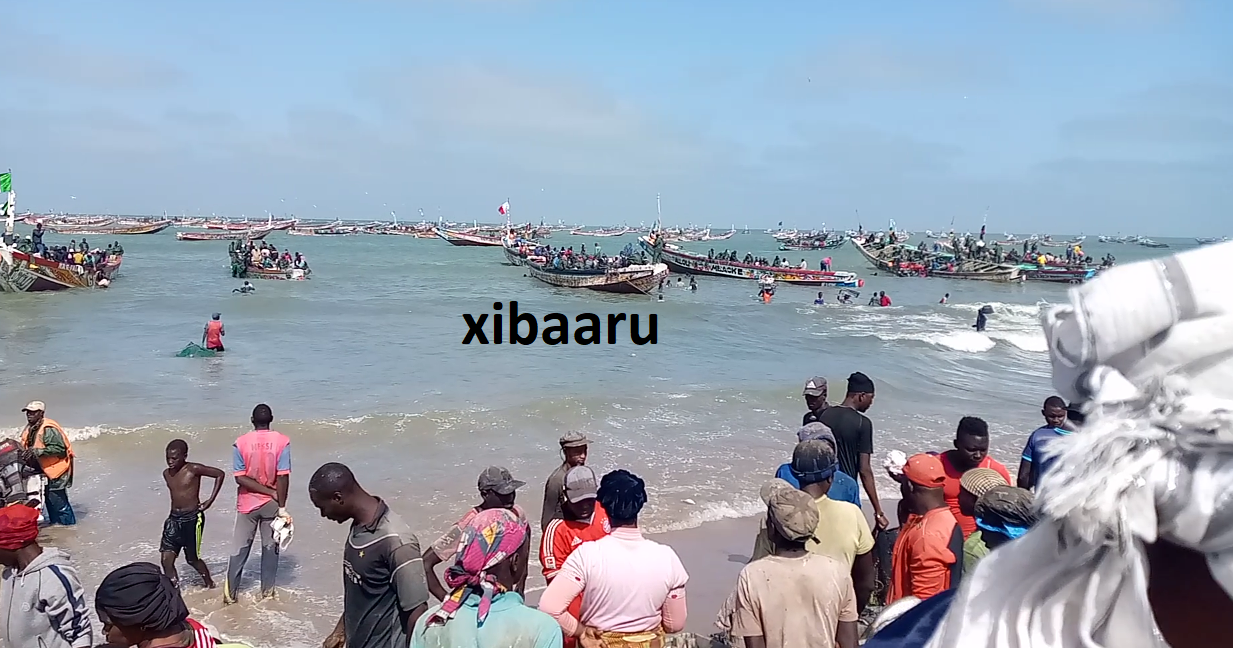 images quai de peche kaf