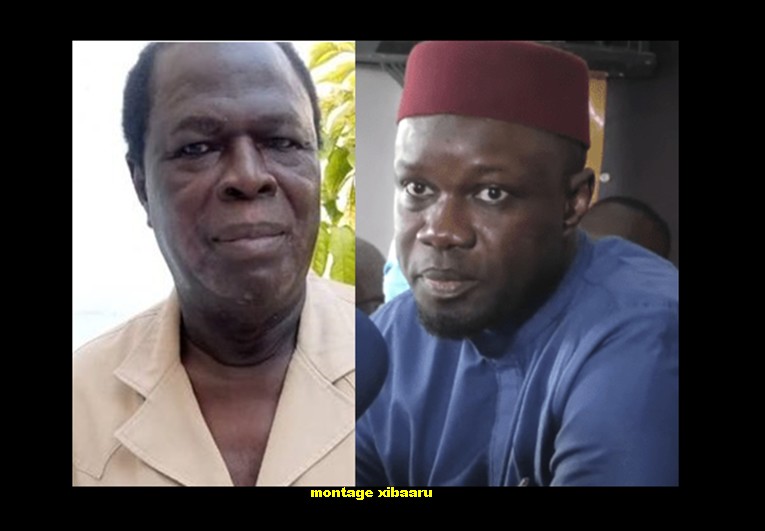 « Ne laissons pas Sonko brûler le pays pour échapper à la justice » (Ibrahima Sène)