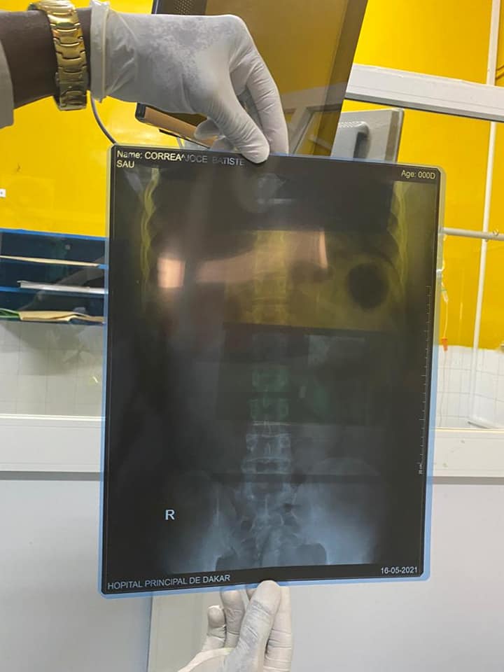 187160500 515539393192975 6671714245008012175 n