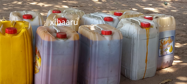 bidon huile de palme