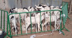 FB IMG 1626252263713