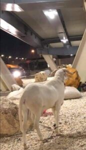 FB IMG 1626725416989