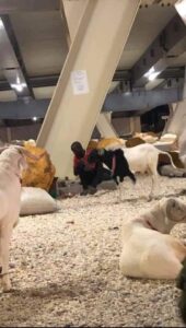 FB IMG 1626725421147