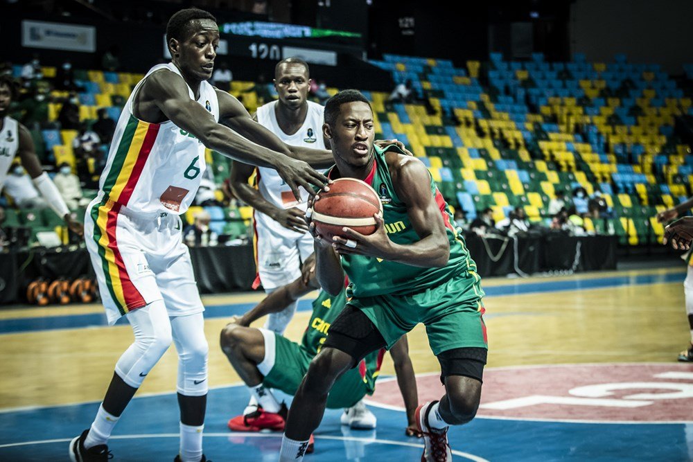 lions du basket vs cameroun mamadou faye