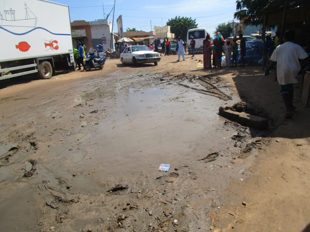 1FE7B506 5512 4D0B 840D 62DA15CB642A