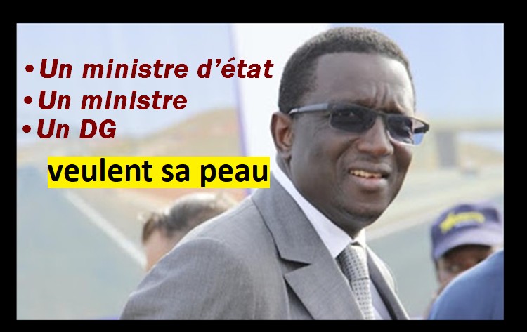 amadou