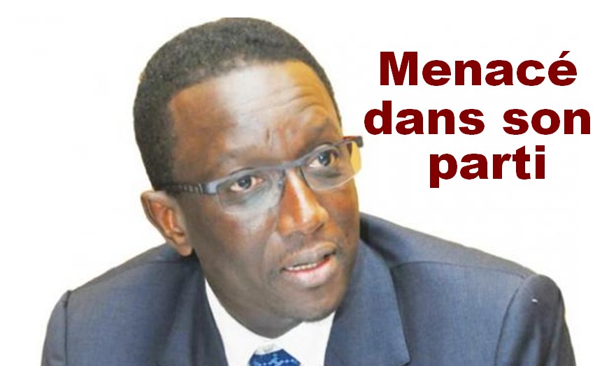 Amadou Ba béni, les faucons maudits…ça sent bon pour 2024 1 amadou