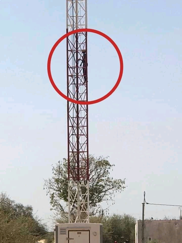 FB IMG 16376786422518891