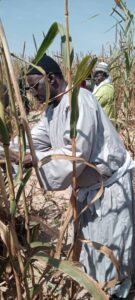 PHOTO 2021 11 20 22 02 46