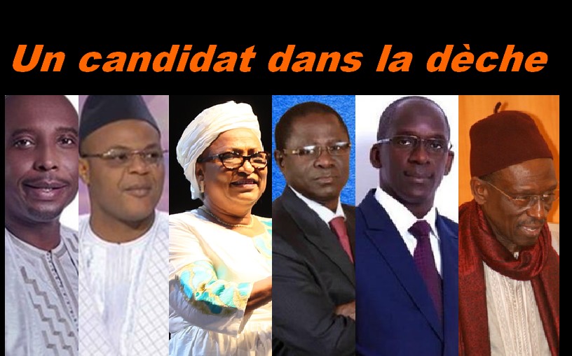 candidat