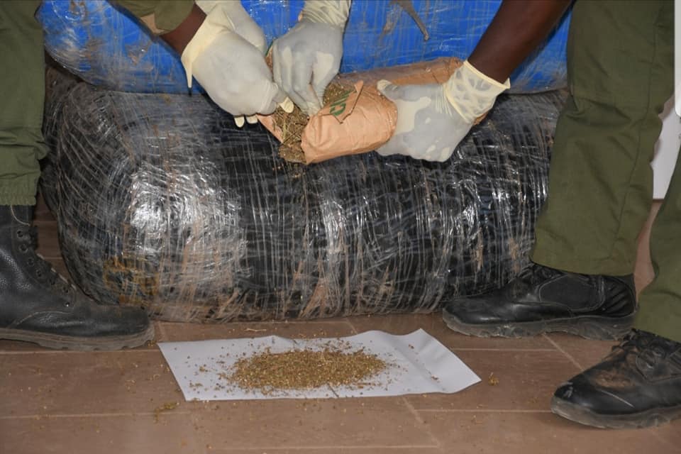 Drogue Chanve indien