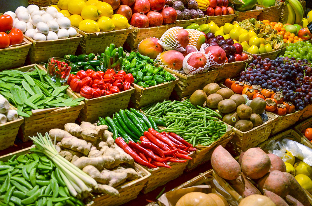 «Pour réussir l&rsquo;agriculture, il faut organiser le marché» (Cheikh Ahmad Tidiane Sy)