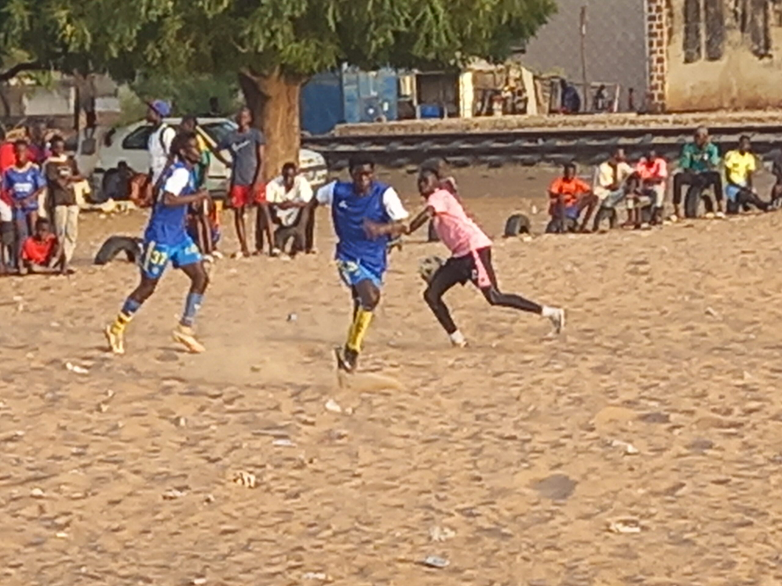 B6CCD7B6 7C9F 4B6C 9C05 22CFDDFEED59 scaled