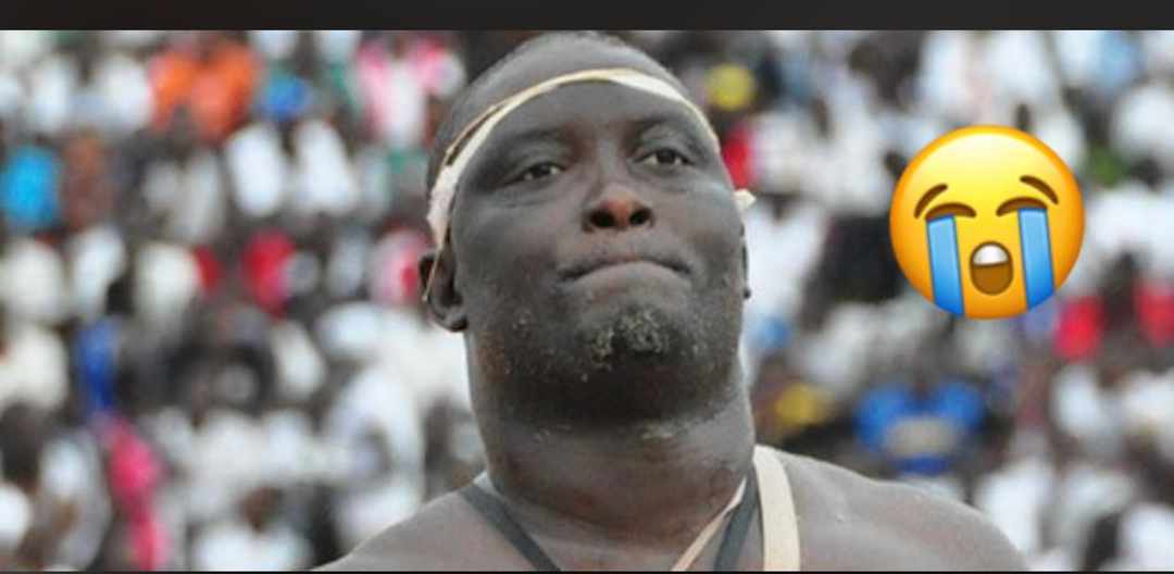 221772399587 status 8dc6626b211845f3829b11ed481aeabd