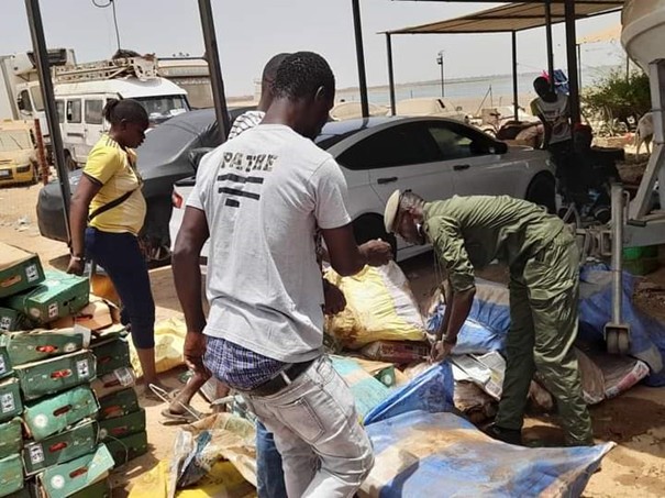 douanes kaolack poulet 2