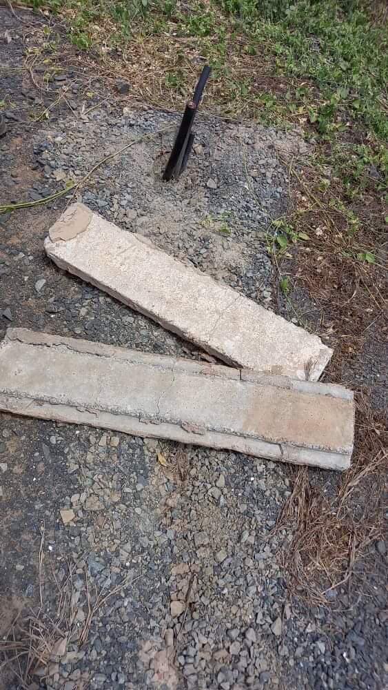 279591295 1031225504485845 5843272513704227032 n