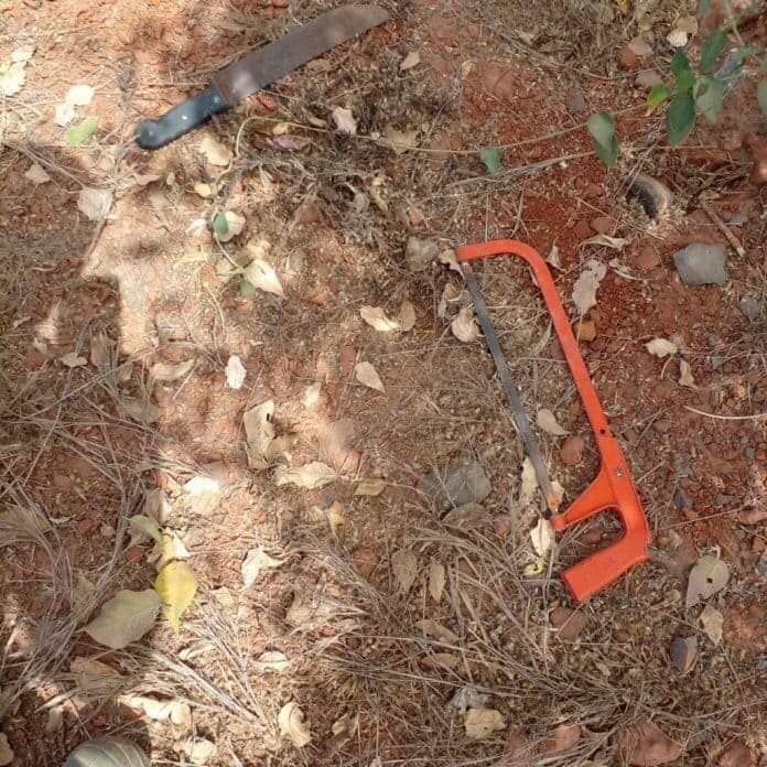 279779130 1031224834485912 7405387490067159813 n