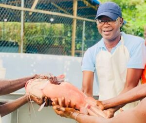 Screenshot 20220528 110138 Facebook e1653739274731