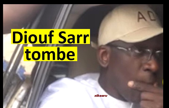 diouf sarr