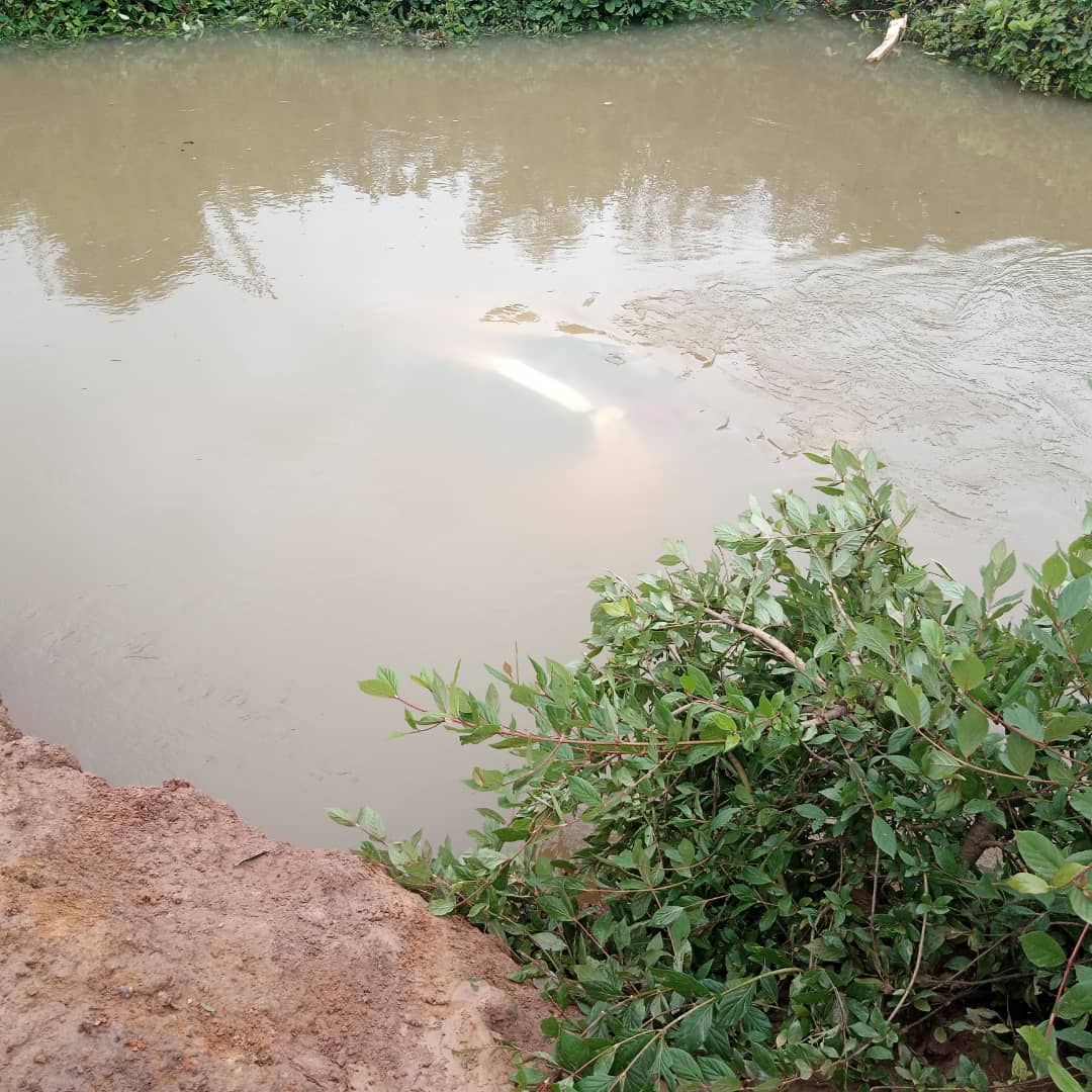 221775511686 status 6543a4eba1eb443d9f5f2e56e82a7212