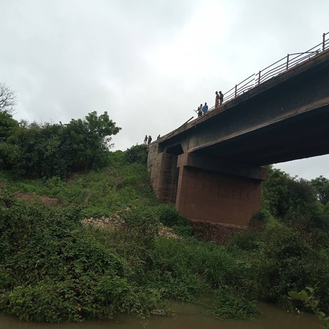 221775511686 status 80a290e7baef478bac8986fc6de710d9