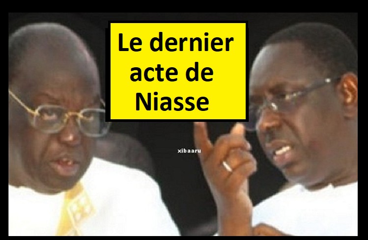 niasse