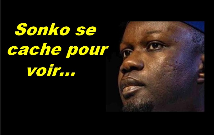 sonko