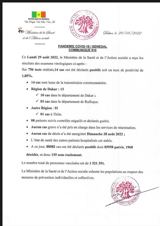 302011047 394449696205612 8773002735781513926 n