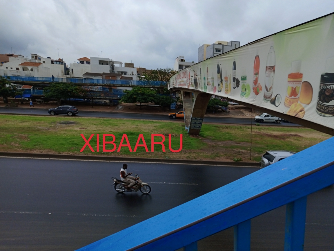 IMG 20220805 120547 9