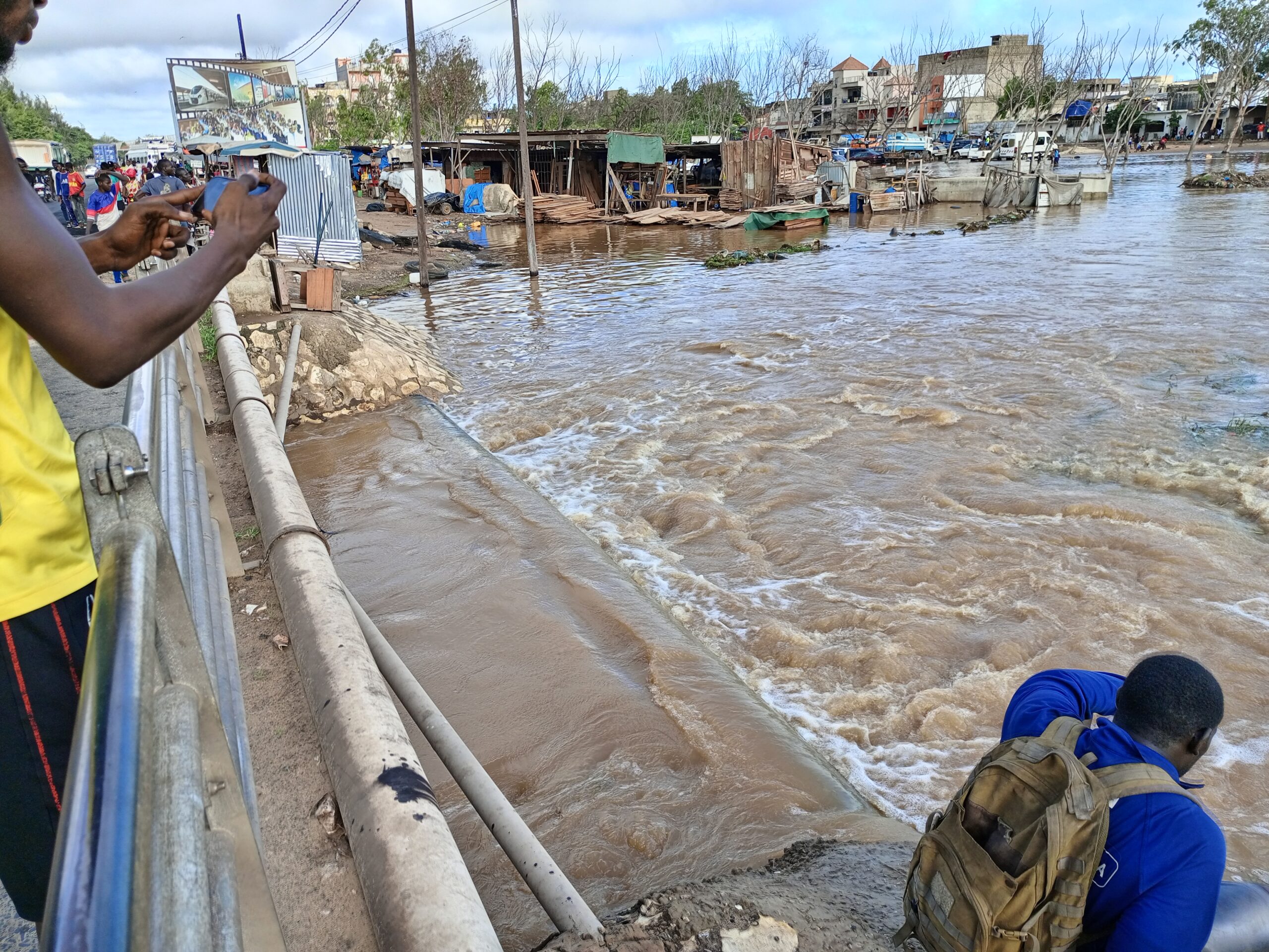 IMG 20220820 173607 533 scaled