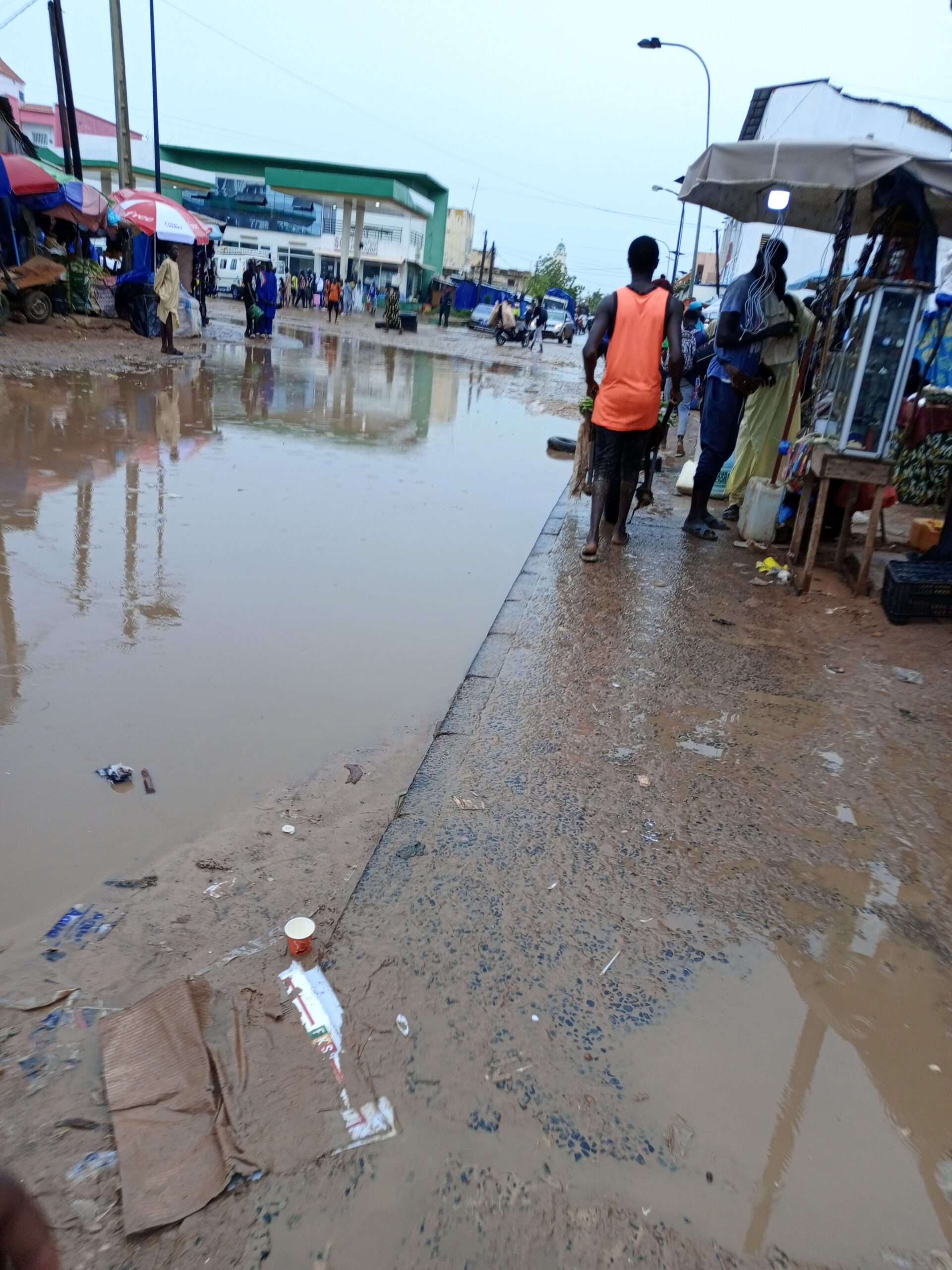 IMG 20220914 085127 313 scaled