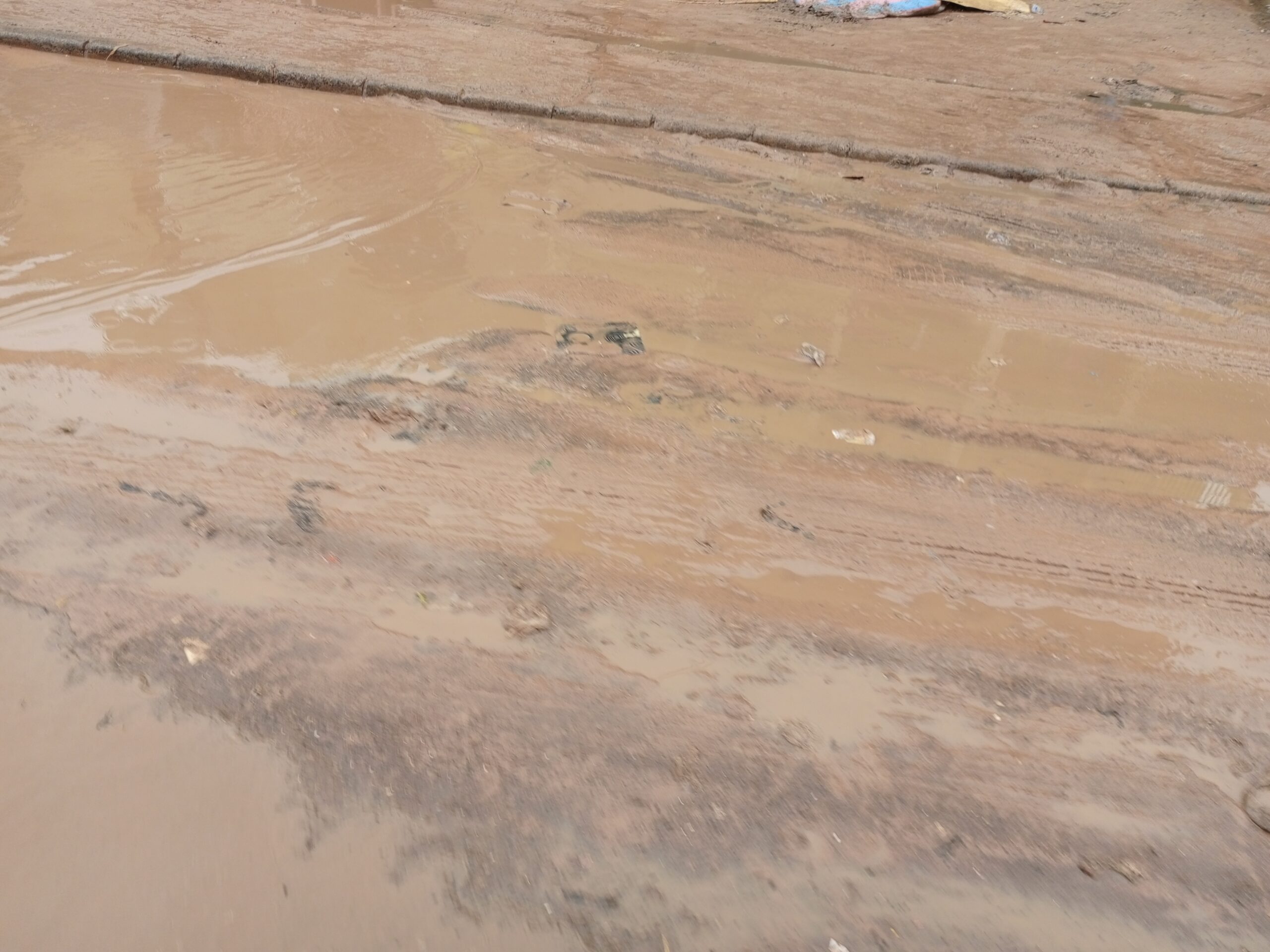 IMG 20220914 090144 766 scaled