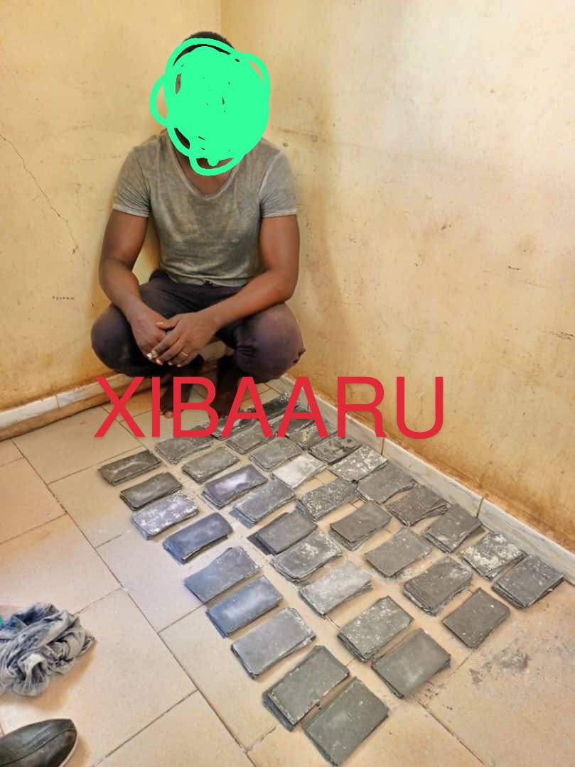 IMG 20221007 WA0115 1