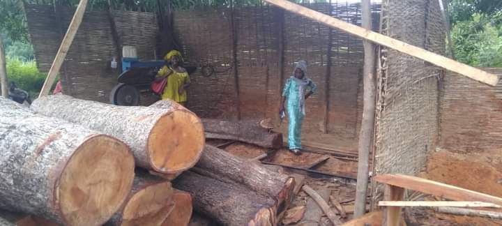 PHOTO 2022 10 18 14 21 39