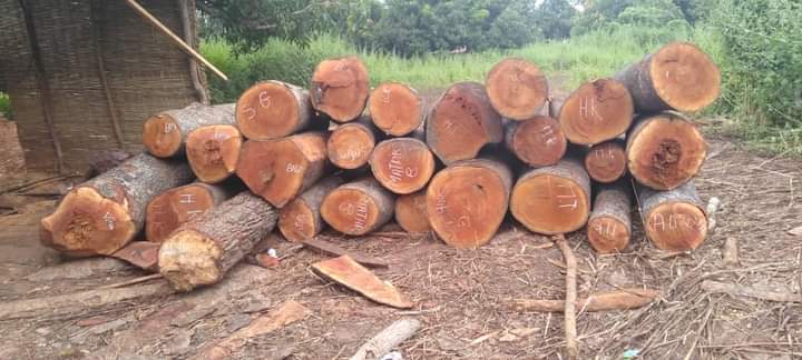 PHOTO 2022 10 18 14 21 40 1